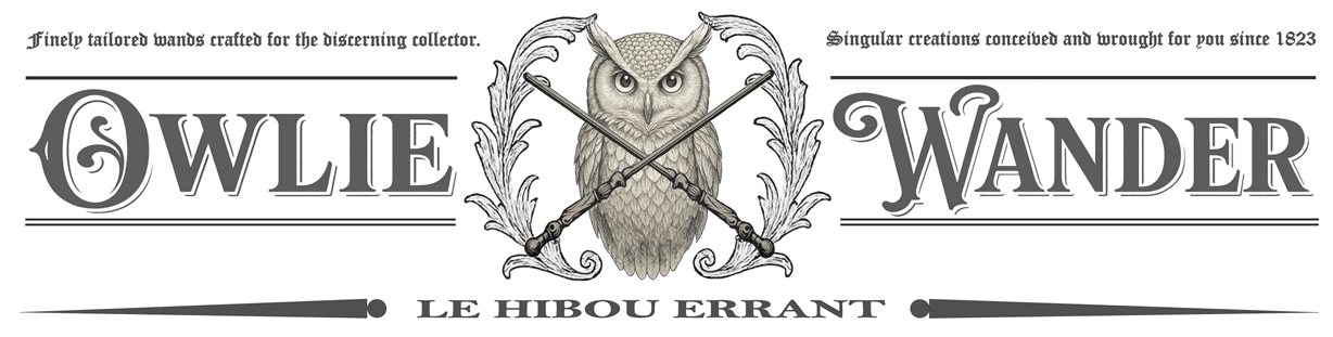 Logo Owlie Wander